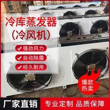 冷庫蒸發器 吊頂吸頂式DD DL DJ系列冷風機
