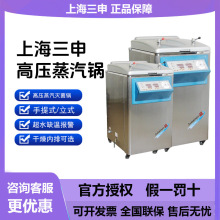高压锅YM30/50立式手提式压力蒸汽器YX280锅液位传感器