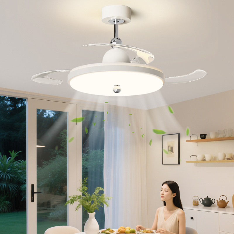 Full Spectrum Simple Invisible Fan Lamp Home Silent Bedroom Ceiling Fan Lamp Restaurant Living Room Eye Protection Fan Lamp