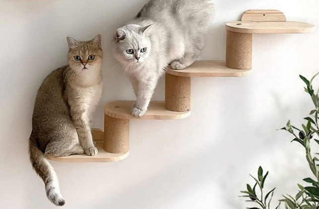 Marco de escalada de madera para gatos en la pared, trampolín para gatos montado en la pared, nido de gatos, cuerda de sisal de madera maciza integrada, lugar de decoración de la sala de estar