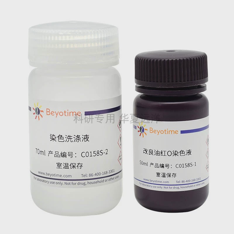C0158S 改良油红O染色试剂盒 50-250次 碧云天
