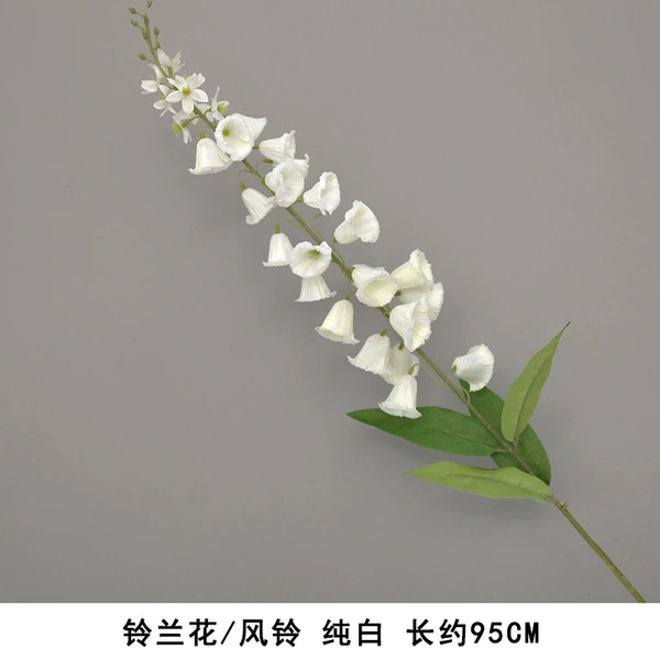 Lily of the Lumania-Wind Bell Pure White