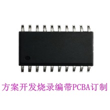 FT61F045  TSSOP20 ��â΢��Ƭ������  ��������  ��¼���