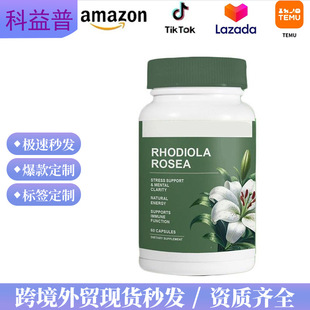 ���]��ƷTK���R�d�羳60���t����õ���z��RHODIOLA ROSEA�������l