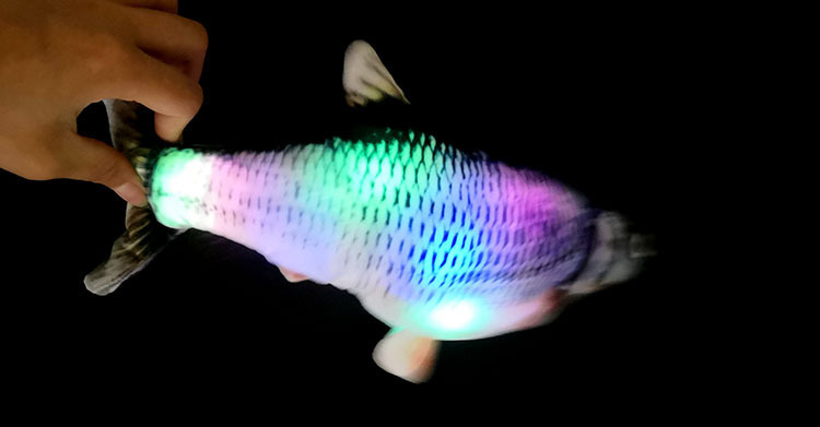 16125617295_1616626428