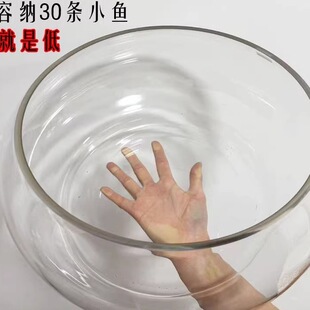 Glass Hydroponic Plant Large Fish Tank Round Thickeneded Hydroponic Goldfish Tank Desktop Small Mini Turtle Tank Ball