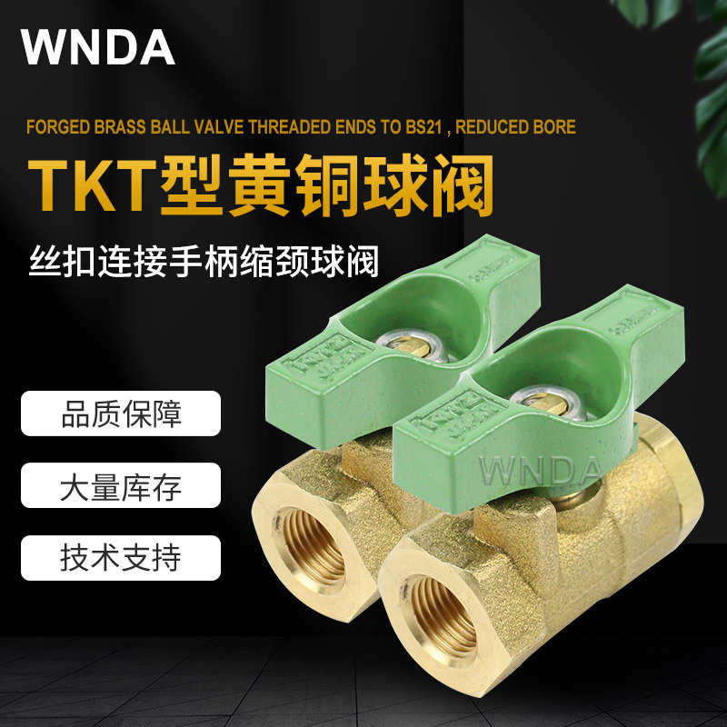 ձKITZԭװ΢TKTͭ˿ 600WOG