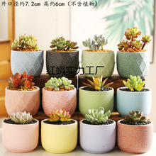 ⻨؃r}ֲС⺆s̨҃bMմɹ޹