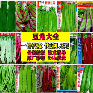 �ļ��߲˷N���L���ǷN�Ӽܶ�ܿ��������������ͥԺ�Nֲ�׷N