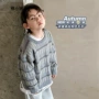 儿童秋款秋季男童毛衣