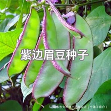 ��߅ü���N�ӱⶹ��߅߅�tü���ó��׷N�ͺ������i�����߲˷N��