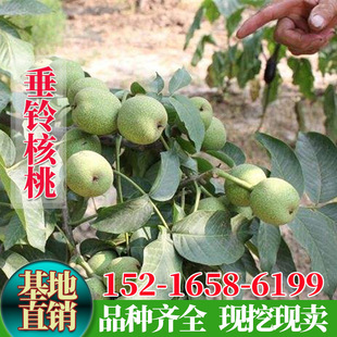 ������⏼t������ �������6̖9̖�t������ ����Y�����]