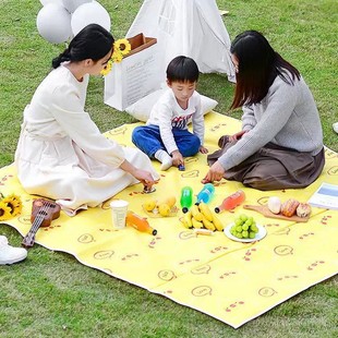 Outdoor camping picnic mat custom gift autumn spring outing photo waterproof floor mat folding portable moisture-proof mat manufacturers