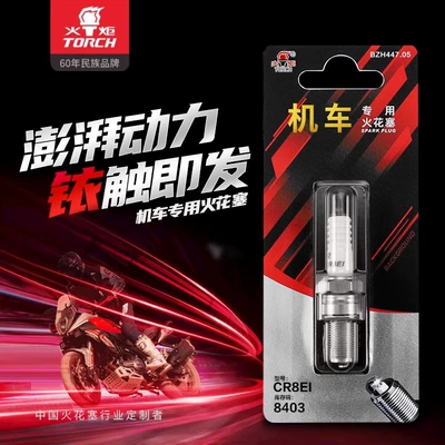 TORCH/Torch genuine goods Motorcycle Locomotive Spark Plug A7RTI B7RTI D8RTI CR8EI D8RTIP (Alışdırma şamı (Sveçalar))