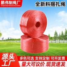 ���l�tɫȫ���������K��������K������˺��Ĥ���I���ڴ��������