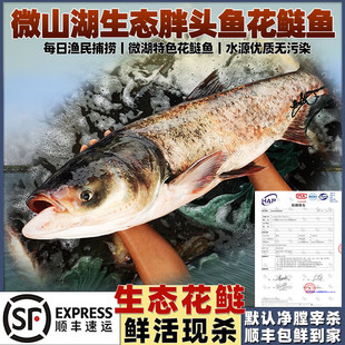 �ӳ�O��΢ɽ��Ұ�����^�~�����~�^���r���~�F����ˮ�����I�l���~