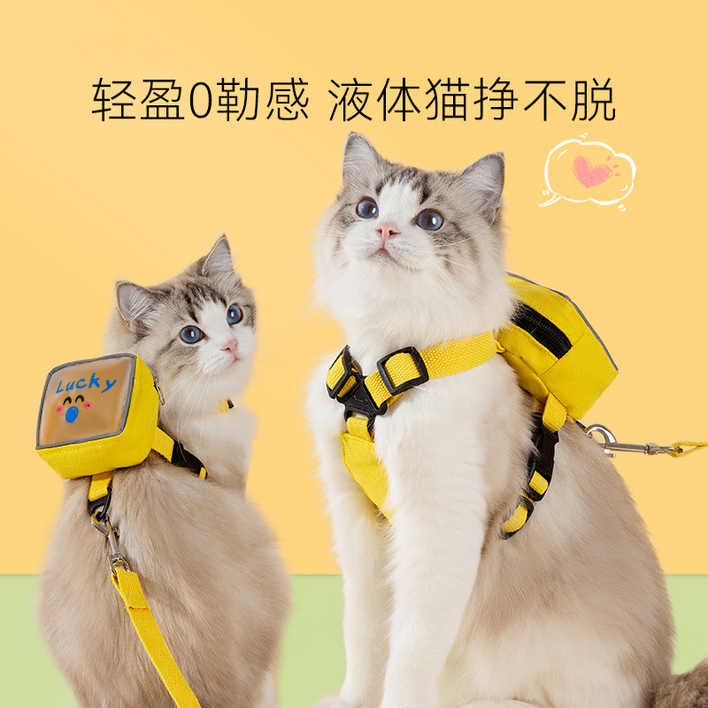Four Seasons Universal Transpirable Dog Mochila transparente Cuerda de correa para el pecho de salida del gato Cuerda para pasear al gato Productos para mascotas