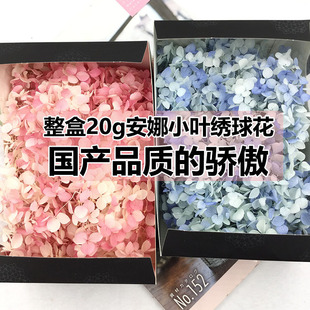 ���ƙ�A������С�~���򻨰�������ĸ�H��diy���ϿƱ����»�Ь�Y��