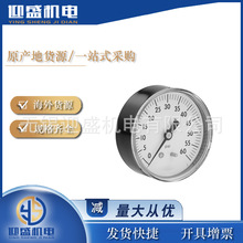 MC Master Carr 麦克马斯特 压力表 4089k62 1/4 npt male center