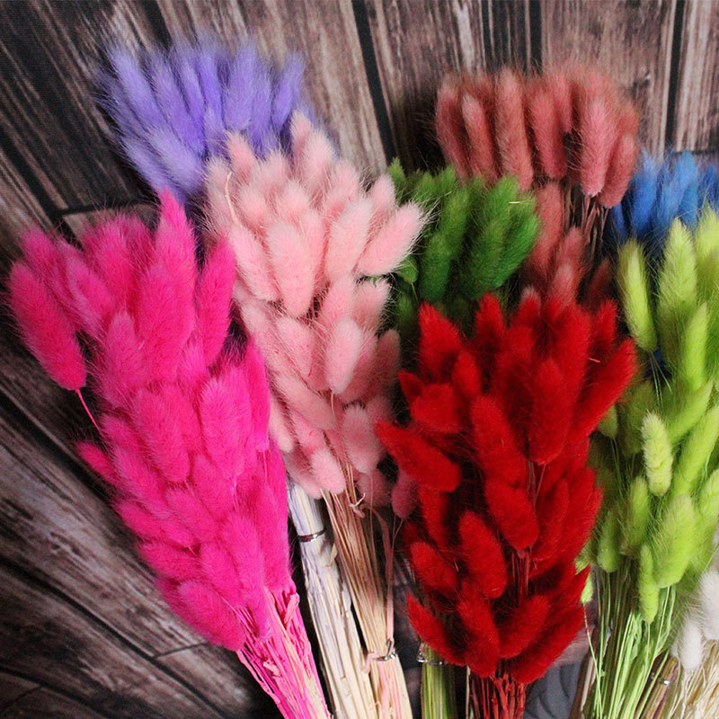 11900831241_511691582