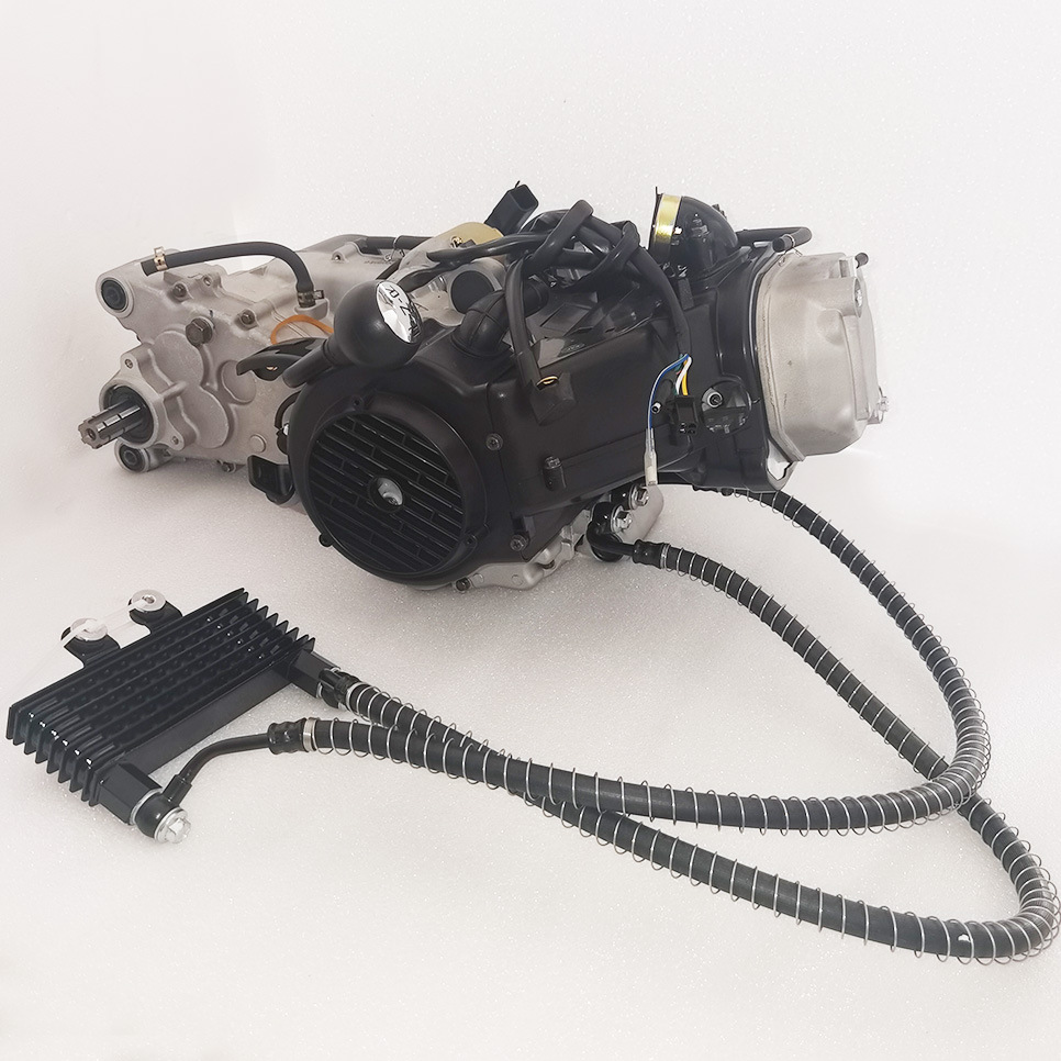Golden Wave Gy6 200Cc Oil-Cooled Engine with Hand-Pull Start, Stepless Transmission, and Reverse Gear for Beach Buggy and Go-Kart