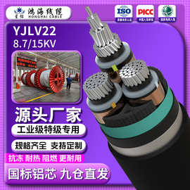 国标YJLV22铝芯铠装高压电缆8.7/15KV1芯3芯35～400平方电力电缆