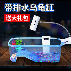 生態亀のかめの小さいサイズの亀の鉢は干し台の水槽の開放式の水亀の生きている体のカメの飼育の箱を持ちます。