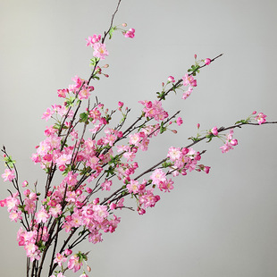 ������ܙѻ����Ļ���֦�һ���c�ѻ����l�Ҿ��b���ؔ[���ٻ�