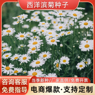 ����I�շN�Ӵ�I�ջ��N�ļ����N�׷N���ͺ�ͥԺ�҃����_������