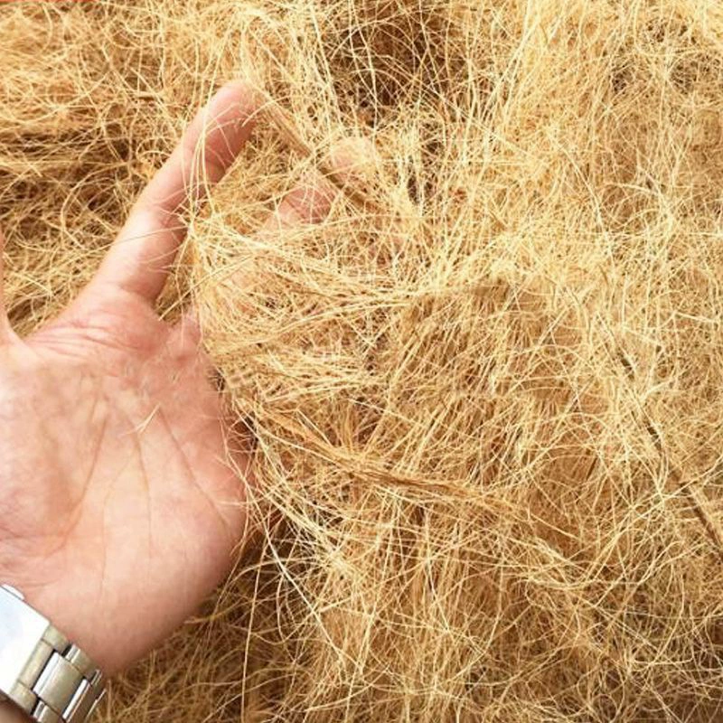 Коричневый кокосовый шелк кокосовый шелк