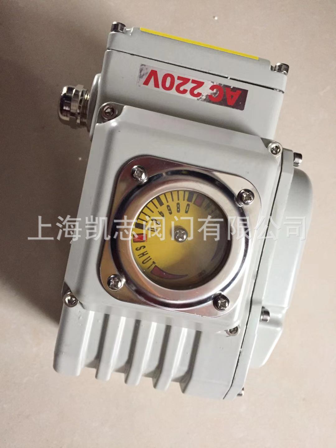 QH-10精小型电动执行器QH-05  DN20电动球阀执行机构AC220V DC24V