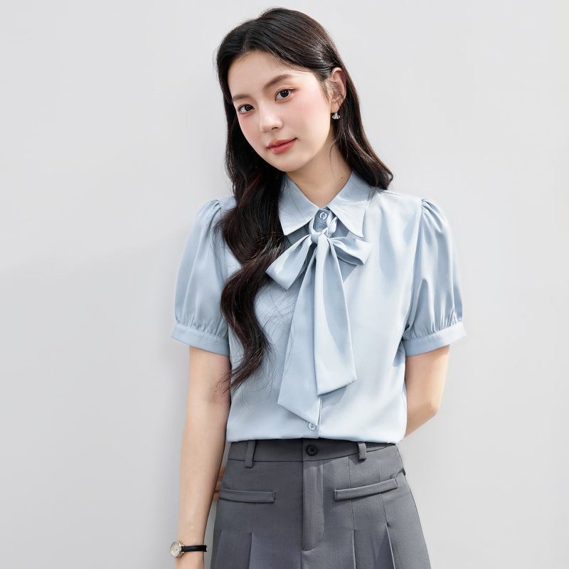 Blue Short-Sleeved Shirt for Women, Summer Teacher Wear, Chiffon Formal Top, Interview Professional Wear Shirt
