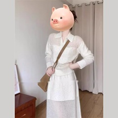 春季韩系穿搭一整套时尚气质高级感镂空针织衫半身裙子两件套装女