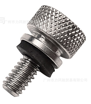 Plata acero inoxidable tornillo ZDPJ033