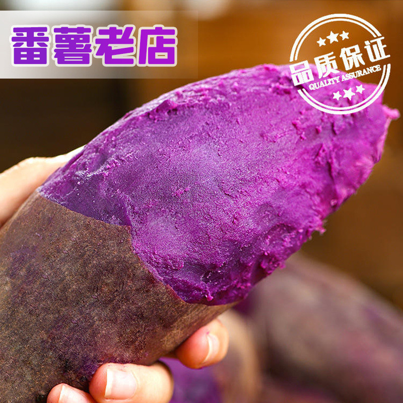 순중량 4.5kg [특대형] 소량