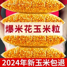 ӰԺ���׻����������������������α��׻�ԭ�ϱ������׶���������