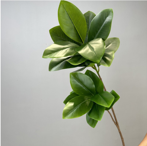 Ins hand-feeling magnolia leaves simulated long-branched plants…
