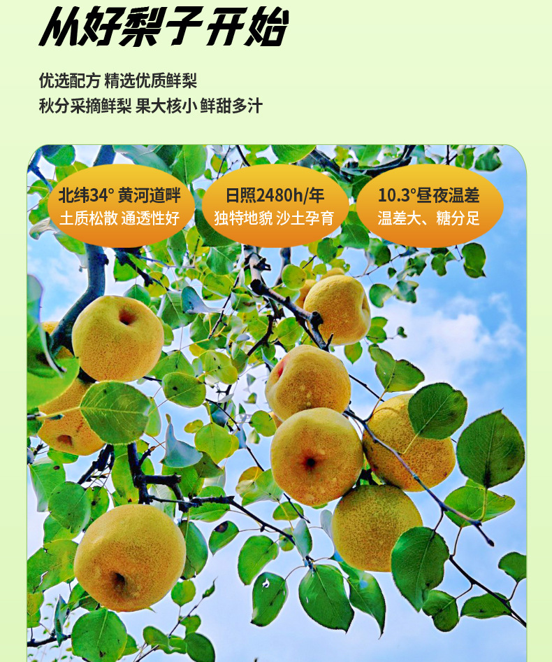 Pear Paste 300g Dangshan Snow Pear Herbal Fruit Paste No Added Sucrose Portable Spoonful quality and texture