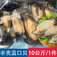 半壳蓝口贝冷冻海鲜水产黑口贝半壳贝贻贝海虹火锅烧烤自助餐批发