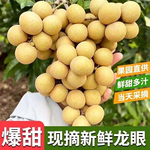 �V�|�������r����ʯ���������x5��Fժ�F�l�����Ϙ���A��S���]