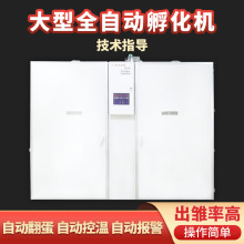 全自动大型鸡蛋孵化机 微型孵化器 供应全自动19200孵化机器
