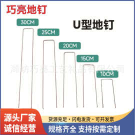 地布钉防草布地钉U型钉钢丝地钉草坪镀锌斜尖地钉多肉固定器