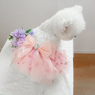 PETCIRCLE���·� �����·�����؈؈���b�������ȹ��������ȹ