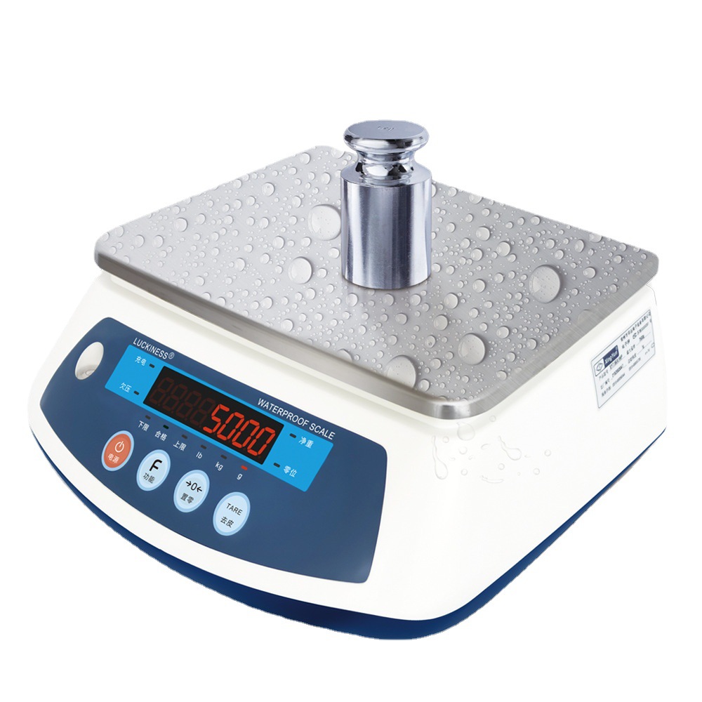 IP68 waterproof electronic scale