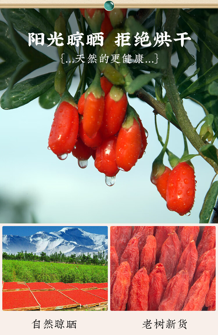Goji Berries Gou Qi Zi 500g Dried Ningxia Red Wolfberry Tea Sun Dried key features