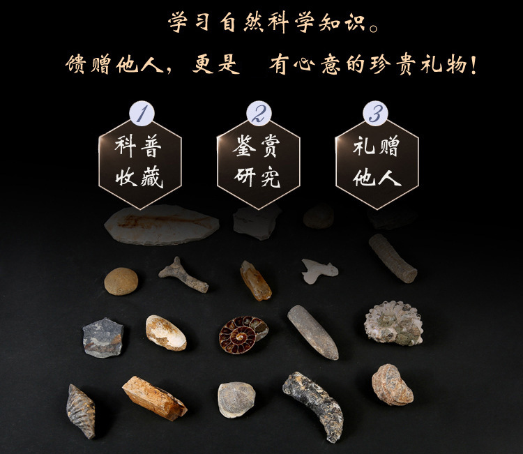 9686420055_578835722