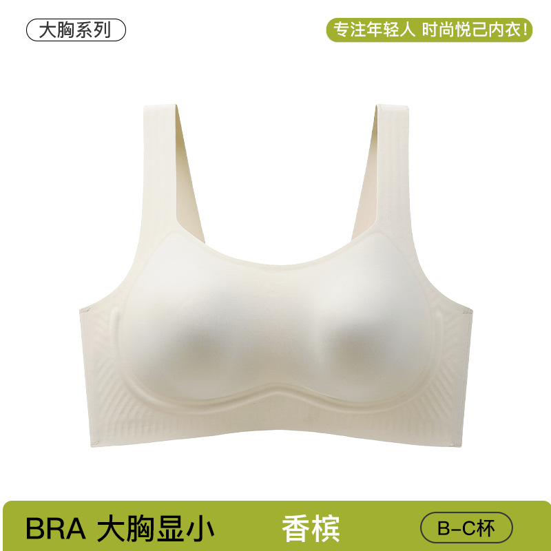 샴페인