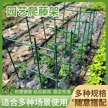 包塑空心钢管爬藤植物攀爬架黄瓜丝瓜南冬瓜豆角DIY支柱连锁批发