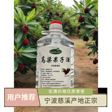 高粱酒曼丽高粱果子酒纯果酿造2.5L桶装50度5年老酒