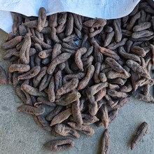 ̖х }n aֱN Ƥ ^  |ʺ ع